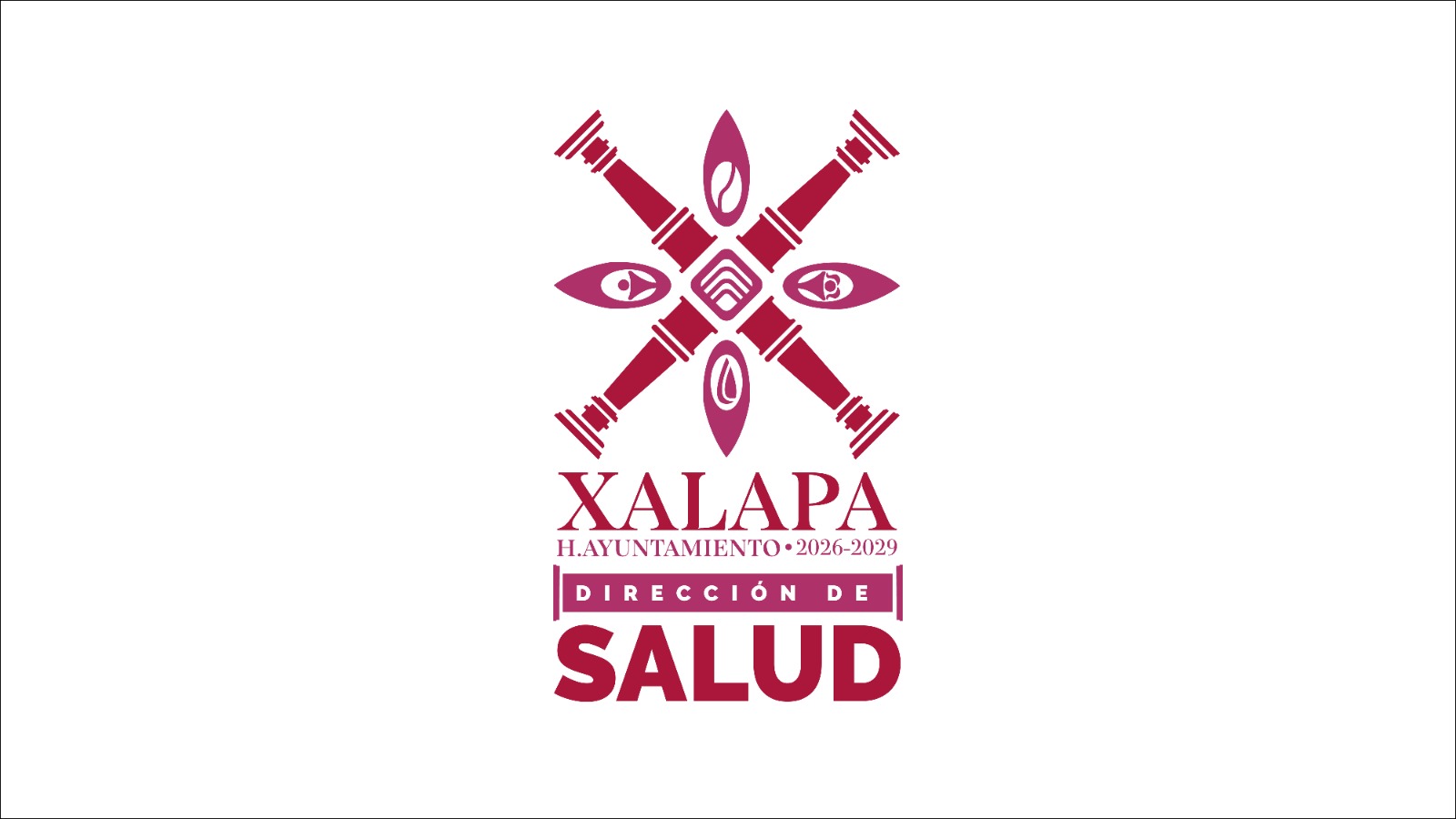 Xalapa, sin daños mayores por Frente Frío