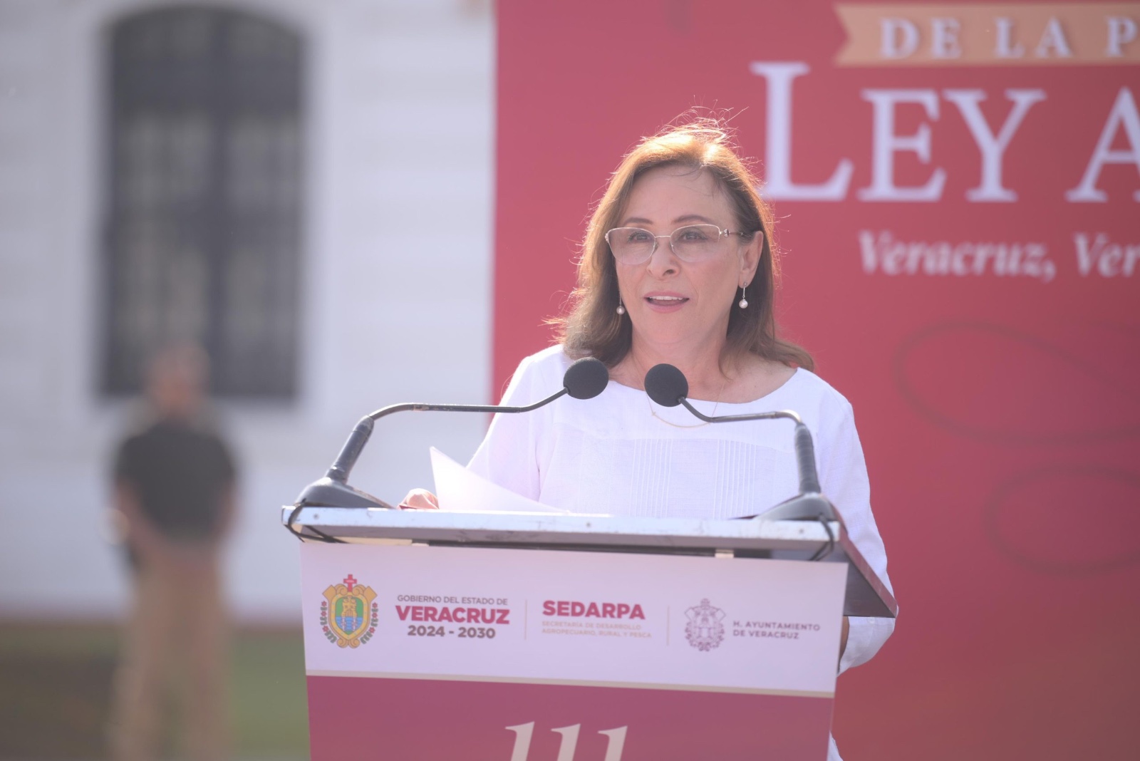 Organización y apoyo institucional harán del campo motor de desarrollo: Rocío Nahle Organización y apoyo institucional harán del campo motor de desarrollo: Rocío Nahle