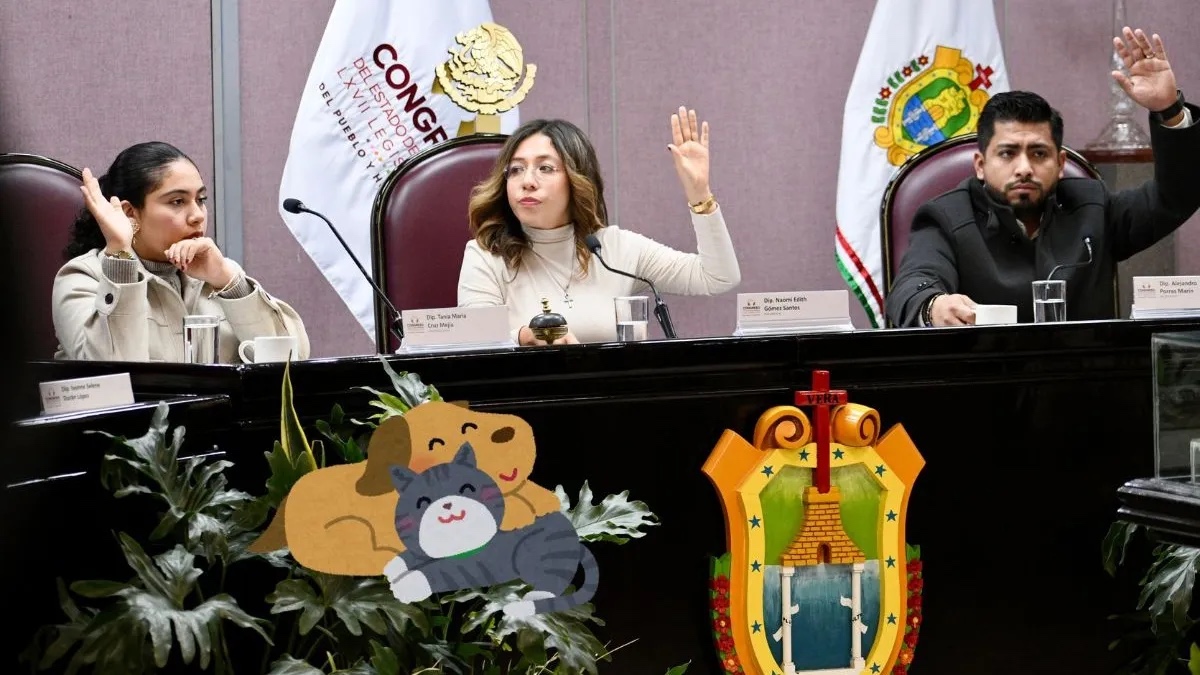 Bienestar animal ya es ley en Veracruz; aprueban iniciativa con aval de ayuntamientos
