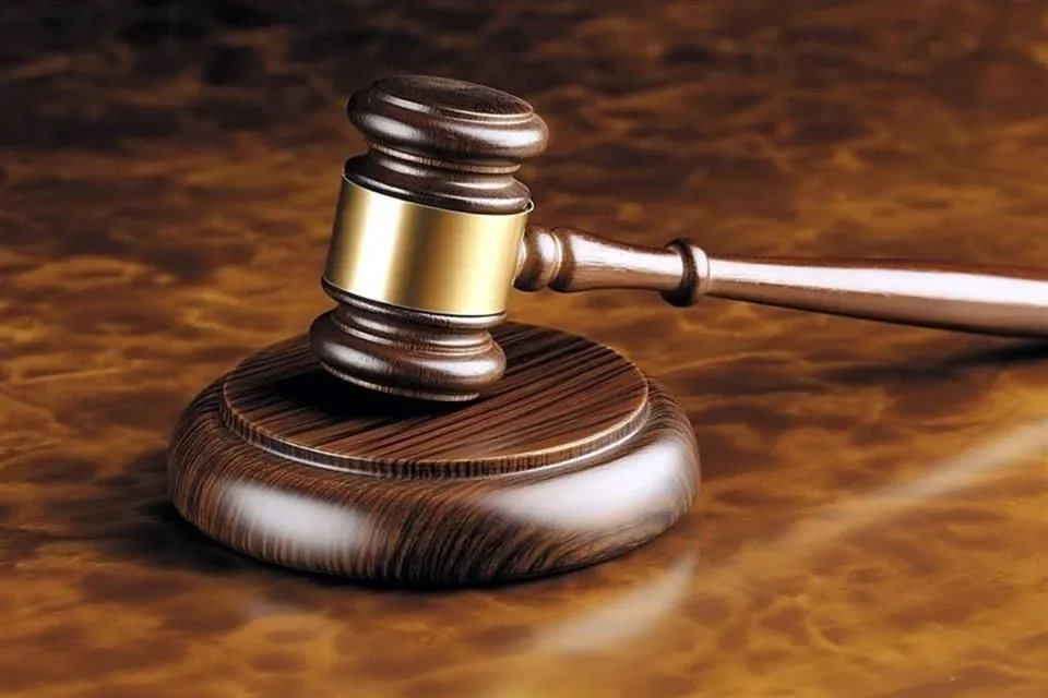 Van al 2028 elección judicial y revocación Van al 2028 elección judicial y revocación