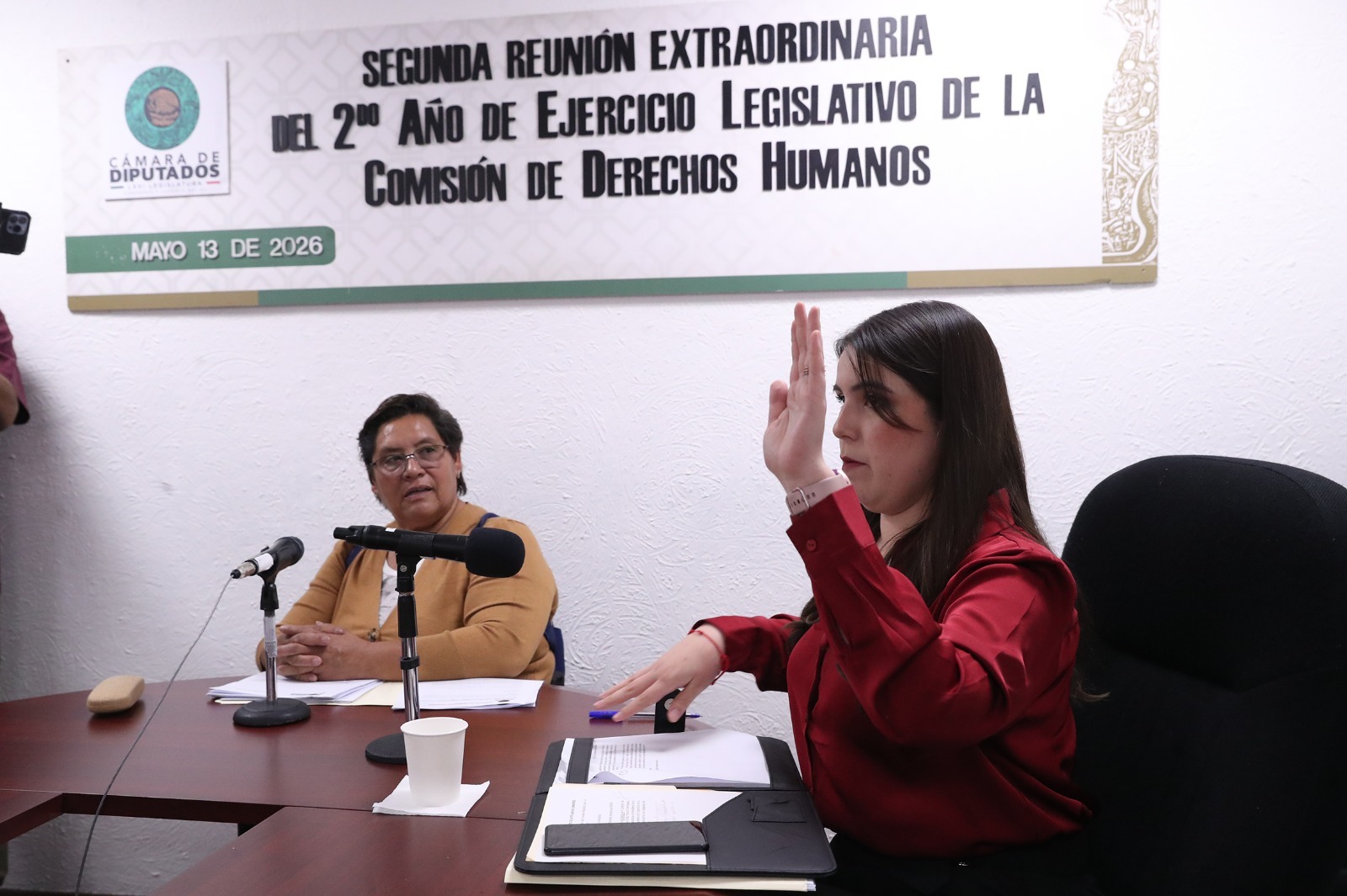 Aprueba Comisión de Derechos Humanos dictamen para reconocer la neurodivergencia Aprueba Comisión de Derechos Humanos dictamen para reconocer la neurodivergencia