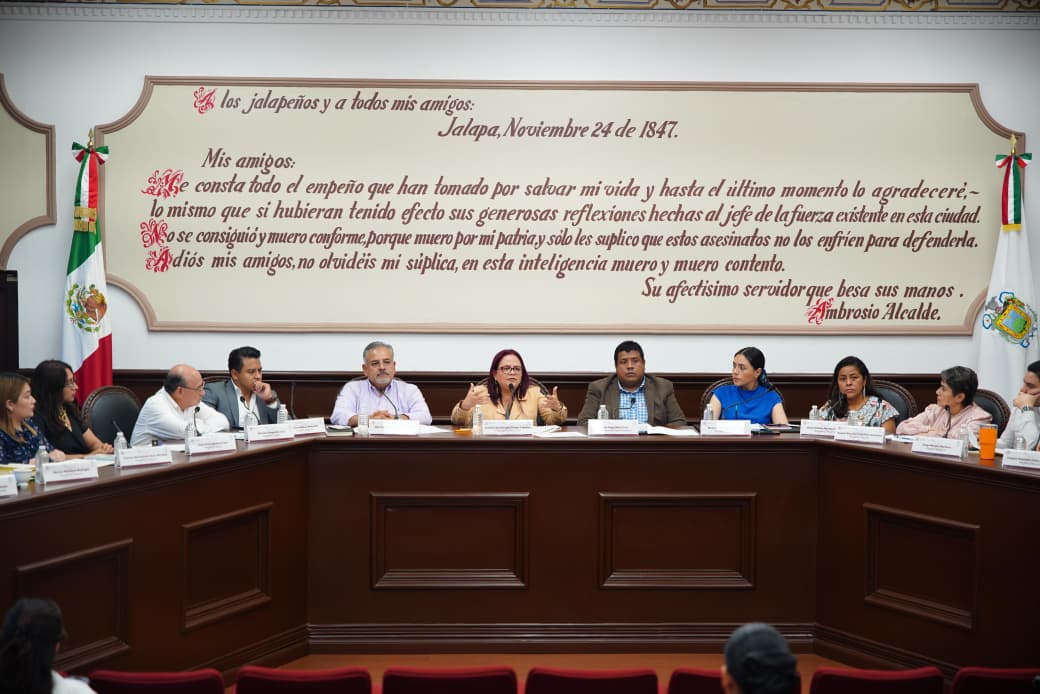 Xalapa y la bursatilización / Yamiri RodríguezMadrid Xalapa y la bursatilización / Yamiri RodríguezMadrid