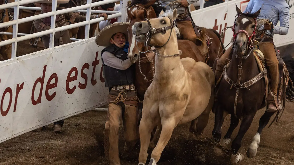 Ciencia lo confirma: Los caballos pueden detectar el miedo de los humanos a través del olfato Ciencia lo confirma: Los caballos pueden detectar el miedo de los humanos a través del olfato