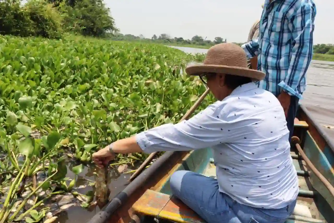 Diputada Mago Corro denuncia ante Profepa y PMA ecocidio y mortandad masiva de peces en Arroyo Hondo Diputada Mago Corro denuncia ante Profepa y PMA ecocidio y mortandad masiva de peces en Arroyo Hondo