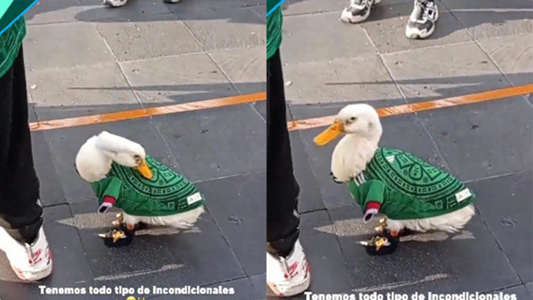 El fenómeno viral que nadie vio venir en el Mundial El fenómeno viral que nadie vio venir en el Mundial