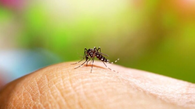 Se mantiene Veracruz entre los estados con máscasos de dengue Se mantiene Veracruz entre los estados con máscasos de dengue