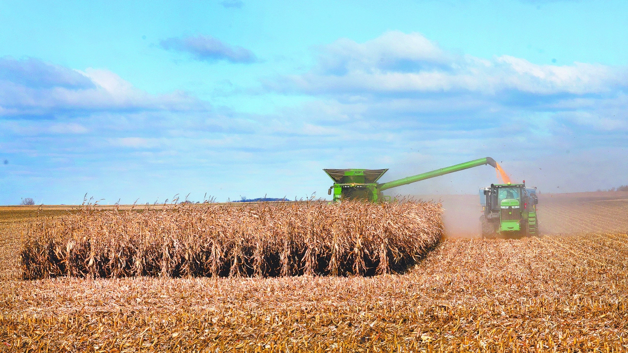México batirá récord de importaciones de maíz en 2026 y 2027: USDA México batirá récord de importaciones de maíz en 2026 y 2027: USDA