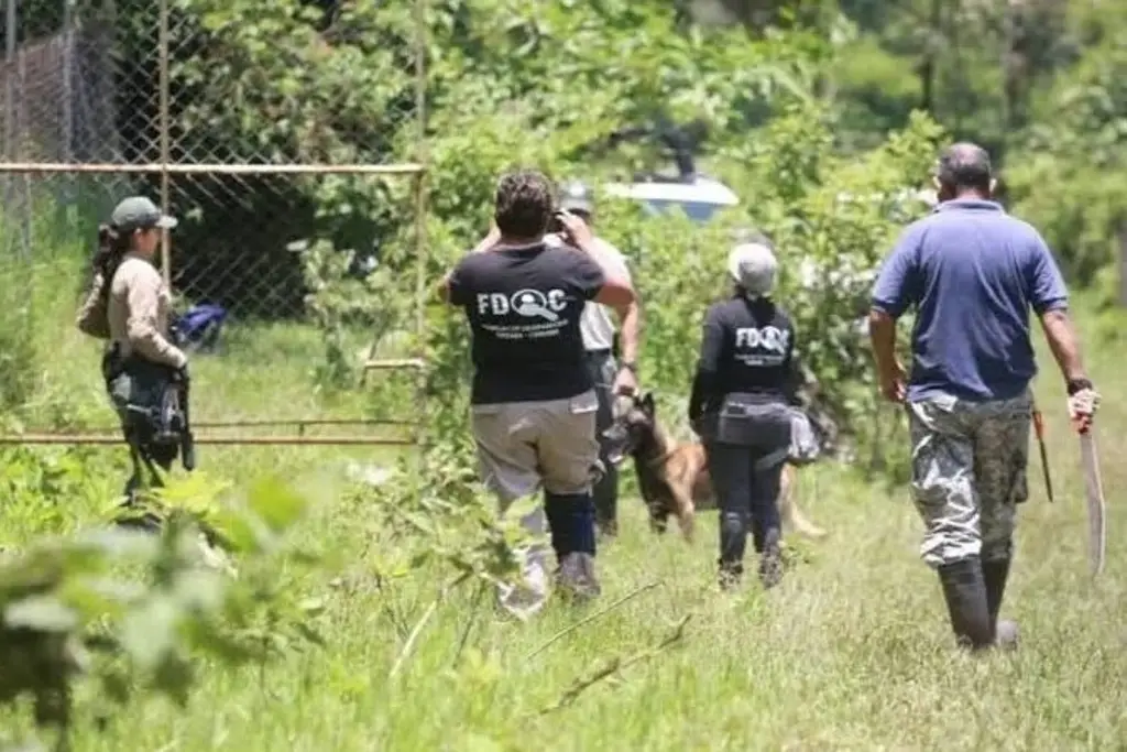 Colectivos aplazan búsquedas de desaparecidos por este motivo en Veracruz Colectivos aplazan búsquedas de desaparecidos por este motivo en Veracruz