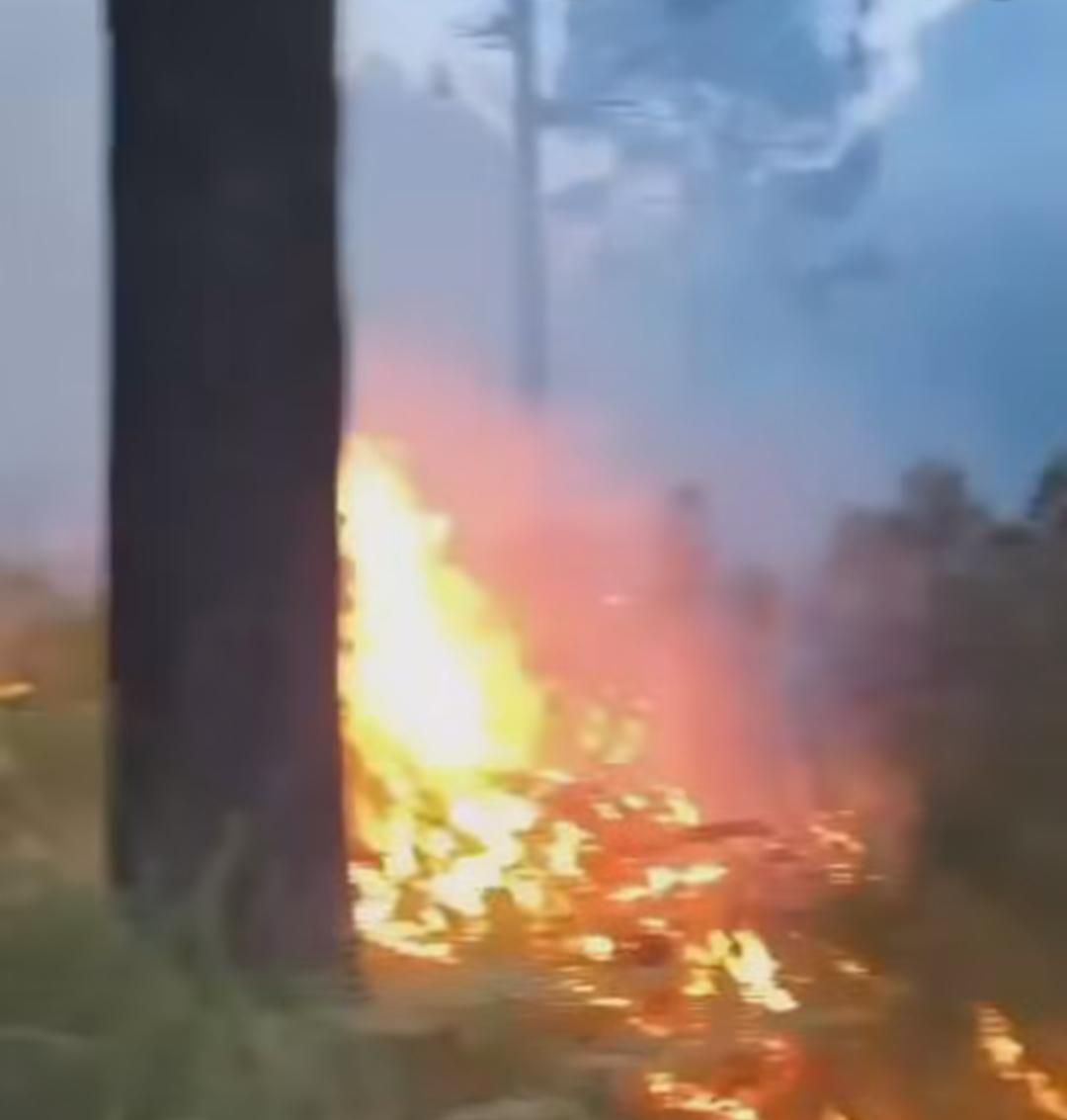 Alerta en Las Vigas por nuevo incendio enreserva ecológica de San Juan del Monte Alerta en Las Vigas por nuevo incendio enreserva ecológica de San Juan del Monte