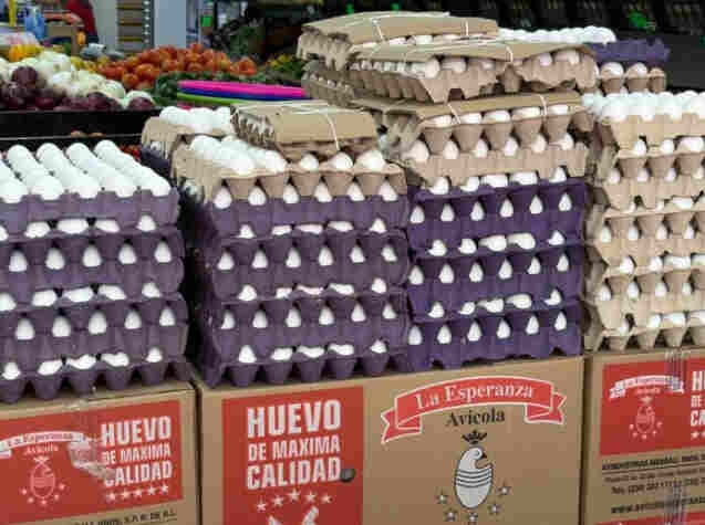 Familias veracruzanas desconfían del huevo barato; autoridades garantizan que el producto no es chino Familias veracruzanas desconfían del huevo barato; autoridades garantizan que el producto no es chino