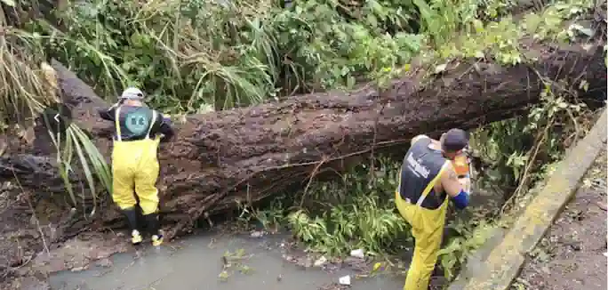 Atiende Gobierno de Veracruz incidencias por lluvias y refuerza prevención Atiende Gobierno de Veracruz incidencias por lluvias y refuerza prevención