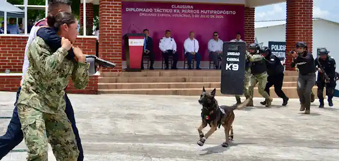 Veracruz referente nacional en capacitación K9, concluye 5.° diplomado táctico especializado Veracruz referente nacional en capacitación K9, concluye 5.° diplomado táctico especializado