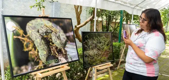 Más de mil asistentes participan en festival dedicado a la conservación de la vida silvestre Más de mil asistentes participan en festival dedicado a la conservación de la vida silvestre