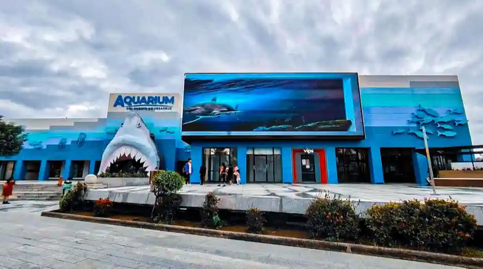 Gobernadora decreta descuento en el Aquarium, para que más veracruzanos lo visiten Gobernadora decreta descuento en el Aquarium, para que más veracruzanos lo visiten