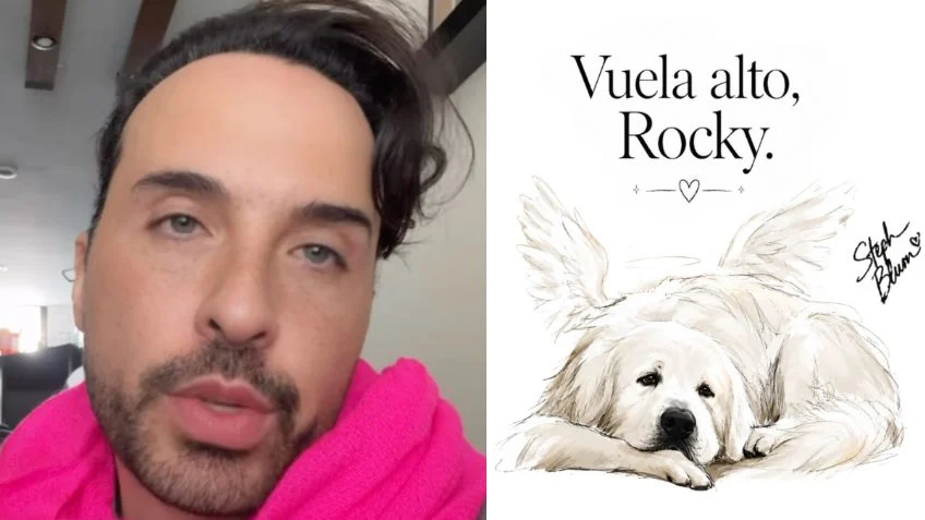 “La crueldad tiene consecuencias”: Apio Quijano arremete contra la dueña de “Rocky” y exige justicia “La crueldad tiene consecuencias”: Apio Quijano arremete contra la dueña de “Rocky” y exige justicia