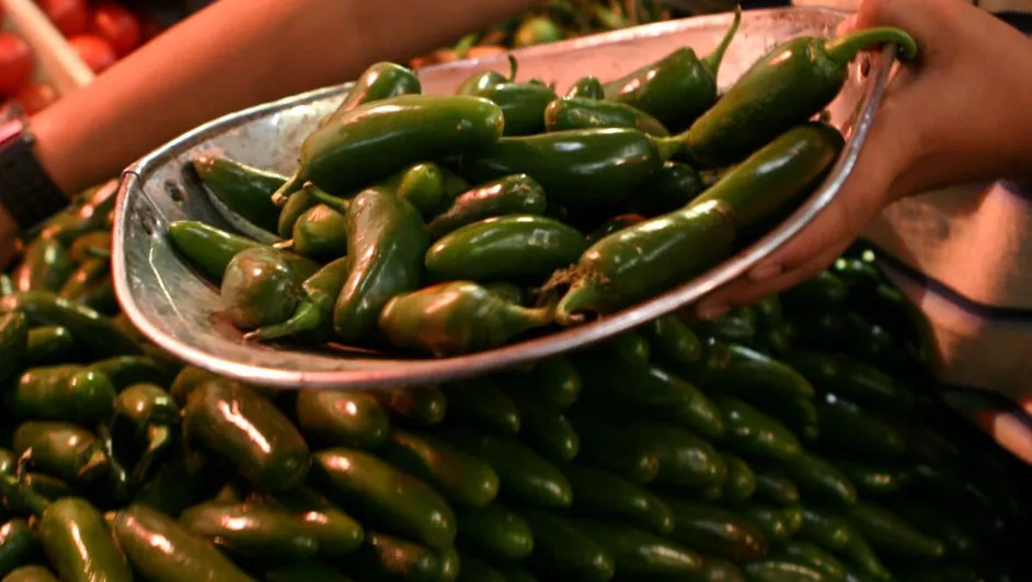 Brote de salmonela en EU se vincula con chile jalapeño exportado desde México Brote de salmonela en EU se vincula con chile jalapeño exportado desde México