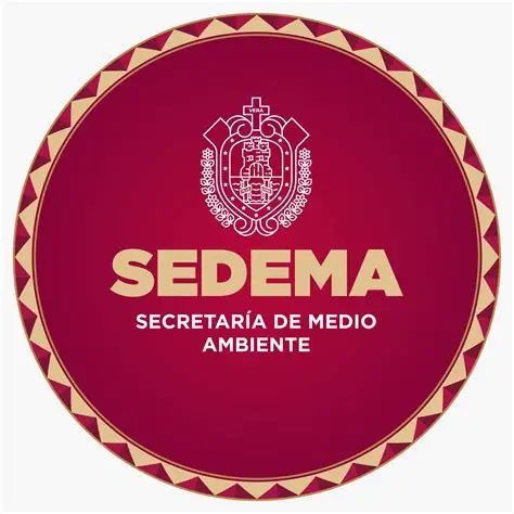 SEDEMA reforzará coordinación para atender casos de maltrato animal en Veracruz SEDEMA reforzará coordinación para atender casos de maltrato animal en Veracruz