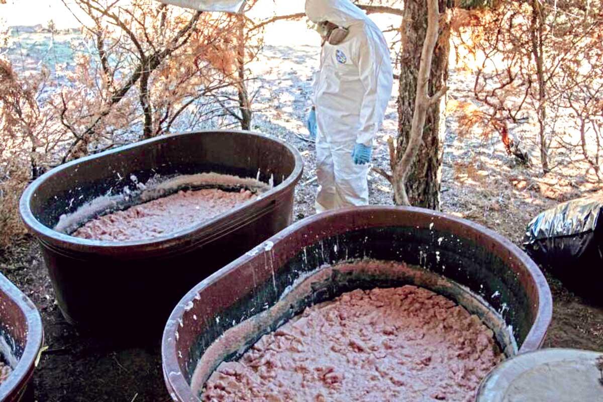 Cárteles mexicanos se instalan en África; envían a químicos a montar laboratorios Cárteles mexicanos se instalan en África; envían a químicos a montar laboratorios