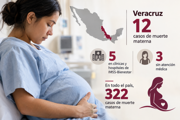 Concentra Veracruz 12 casos de muerte materna en el año Concentra Veracruz 12 casos de muerte materna en el año