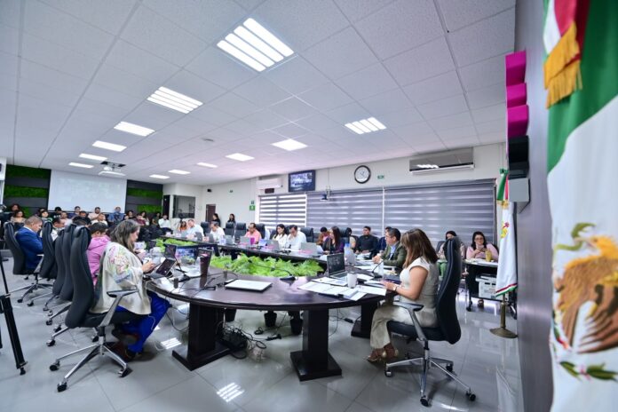 OPLE Veracruz aprueba Proyecto de Presupuesto de Egresos acorde a los retos de la elección de 2027 OPLE Veracruz aprueba Proyecto de Presupuesto de Egresos acorde a los retos de la elección de 2027