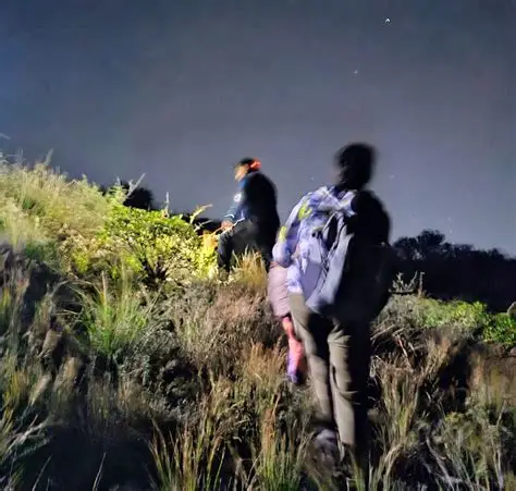 Rescatan sanas y salvas a dos personas extraviadas en el Cerro del Espinal Rescatan sanas y salvas a dos personas extraviadas en el Cerro del Espinal