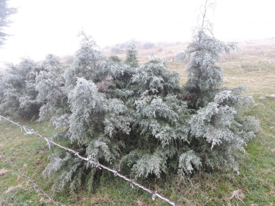 Las Vigas se prepara para temperaturas de hasta cero grados durante la temporada invernal