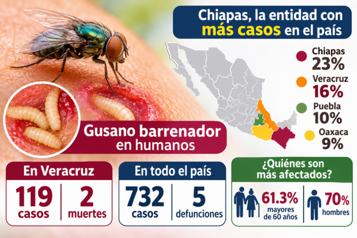 Veracruz concentra 119 casos y 2 defunciones por gusano barrenador en humanos Veracruz concentra 119 casos y 2 defunciones por gusano barrenador en humanos